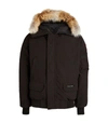 CANADA GOOSE CHILLIWACK BOMBER JACKET,15065885