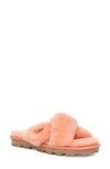 Ugg Fuzzette Genuine Shearling Slipper In Beverly Pink