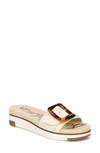 Sam Edelman Women's Ariane Platform Buckle Slide Sandals Women's Shoes In Ivory