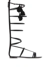 Giuseppe Zanotti Danse Du Feu Gladiator Sandals In Black