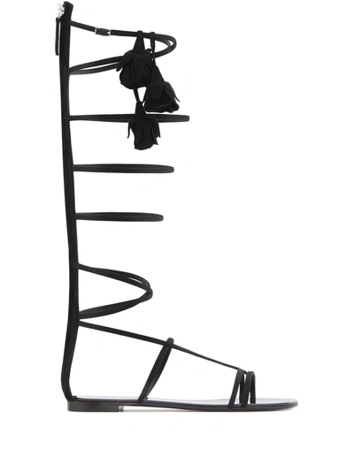 Giuseppe Zanotti Danse Du Feu Gladiator Sandals In Black