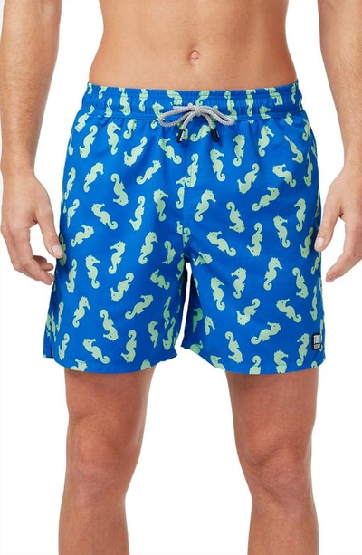 Tom & Teddy Quick Dry Seahorse Print Classic Fit Swim Trunks In Navy & Pale Green