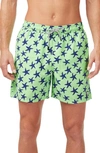 Tom & Teddy Men's Starfish-print Swim Trunks In Fresh Green/ Blue