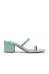 STEVE MADDEN ISSY MULE,SMAD-WZ621