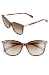Rag & Bone 55mm Cat Eye Sunglasses In Dark Havana/ Brown