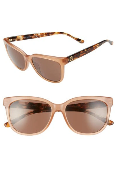 Tory Burch 55mm Cat Eye Sunglasses In Opal Red/ Brown Solid