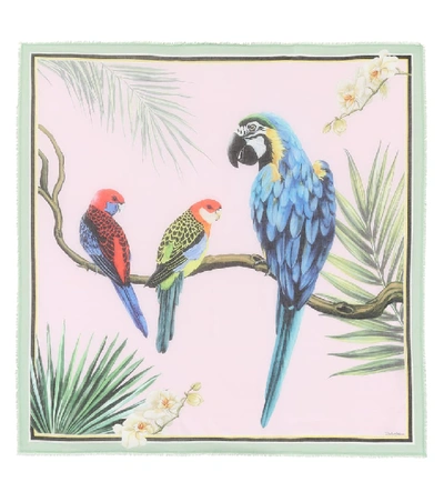 Dolce & Gabbana Parrot-print Scarf In Pink