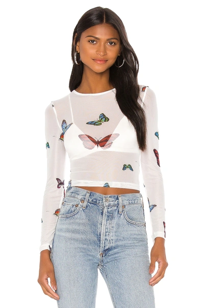 SUPERDOWN ARI BUTTERFLY MESH TOP,SPDW-WS1186