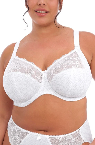 Elomi Full Figure Morgan Banded Underwire Stretch Lace Bra El4110, Online Only In White