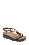 ALEGRIA ROZ SANDAL,ROZ