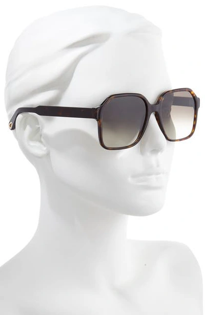 Chloé Willow 56mm Gradient Rectangular Sunglasses In Tortoise