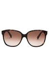 REBECCA MINKOFF Brown Square Sunglasses | Jane Square Sunglasses | Rebecca Minkoff