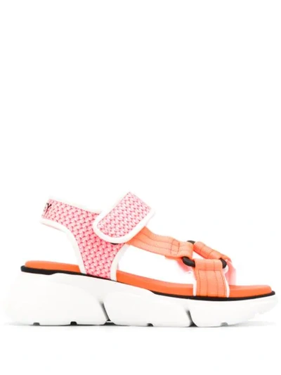 Greymer Touch-strap Platform Sandals In Pink