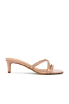 RACHEL ZOE Strappy Kitten Heel Mule,RZOE-WZ122