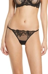 Bluebella Marseille Embroidered Mesh Brief In Black