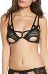 Ann Summers The Wild One Underwire Peep Bra In Black