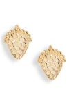 ANNA BECK SCALLOPED STUD EARRINGS (NORDSTROM EXCLUSIVE),ER10129-GLD