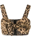 Dolce & Gabbana Leopard-print Bra Crop Top W/ Tie Front In Neutrals