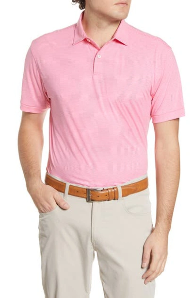 Peter Millar Stripe Featherweight Performance Polo In Pink Rose