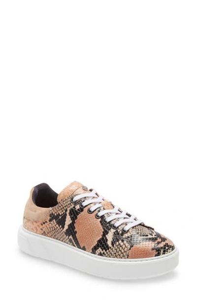 Aquatalia Bekah Weatherproof Platform Sneaker In Rose/nude Snake Print