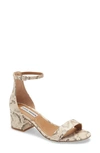 Steve Madden Irenee Ankle Strap Sandal In Light Beige Snake