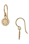 ANNA BECK SCALLOPED MINI DISC DROP EARRINGS (NORDSTROM EXCLUSIVE),ER10135-GLD