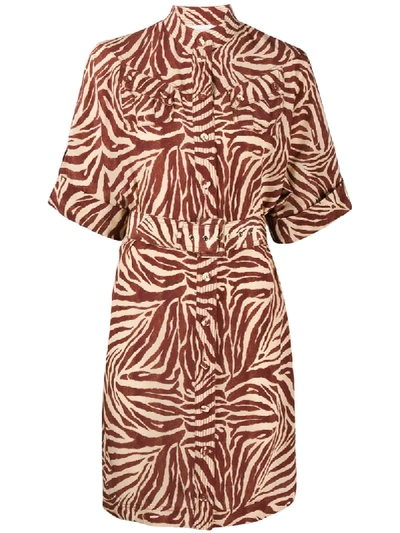 Zimmermann Belted Zebra-print Silk Crepe De Chine Shirt Dress In Brick