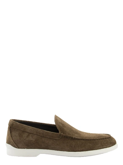 Tod's Loafers In Suede In Brown