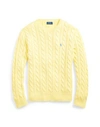 Polo Ralph Lauren Sweater In Yellow