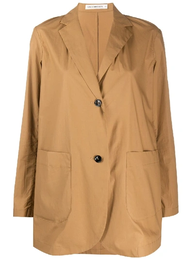 Lis Lareida Straight Jacket In Brown