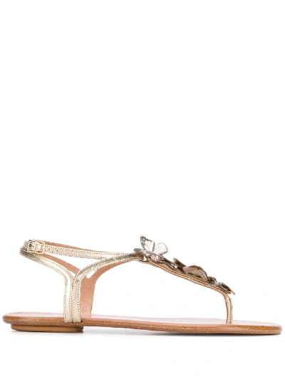 Aquazzura Papillon Flat Sandals In Gold