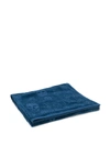 Alexander Mcqueen Skull Beach Towel In Blue