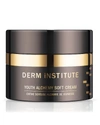 DERM INSTITUTE 1 OZ. YOUTH ALCHEMY SOFT CREAM,PROD151220074