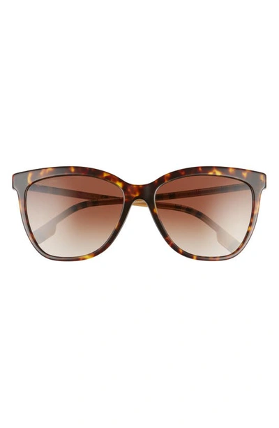 Burberry 56mm Square Sunglasses In Dark Havana/ Brown Grad