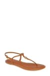 Tory Burch Emmy Medallion Thong Sandals In Ambra