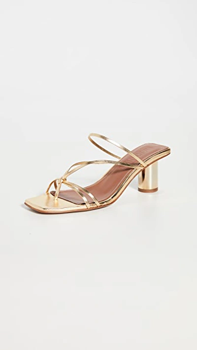 Souliers Martinez 55mm Metallic Leather Thong Sandals In Gold