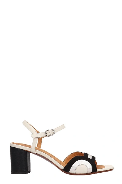 Chie Mihara Losma P Sandals In White Leather