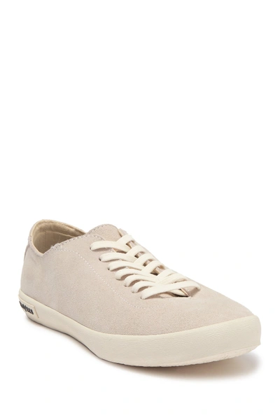 Seavees Racquet Suede Club Sneaker In Oyster