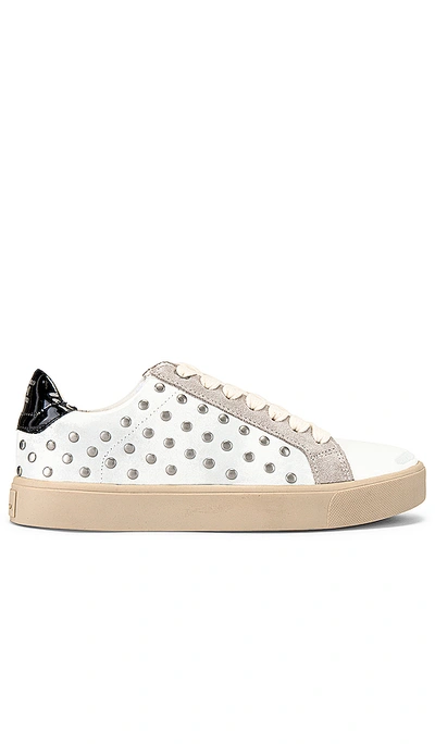 Sam Edelman Women's Esme Studded Sneakers Women's Shoes In White & Fog Grey