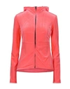 C-CLIQUE C-CLIQUE WOMAN SWEATSHIRT CORAL SIZE XS POLYAMIDE, ELASTANE, POLYESTER,12442577AE 4