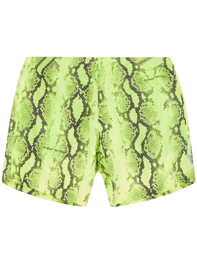 Off-white Printed Snake Tech Swim Shorts In Yellow