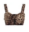 Dolce & Gabbana Leopard-print Bra Crop Top W/ Tie Front In Brown