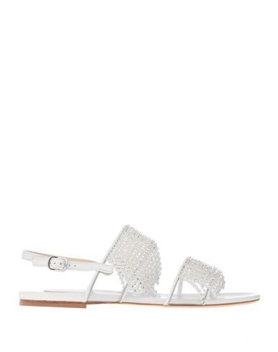 Polly Plume Sandals In White
