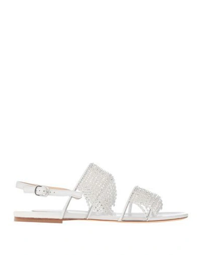 Polly Plume Sandals In White In White