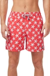 Tom & Teddy Men's Starfish-print Swim Trunks In Rose/ Blue