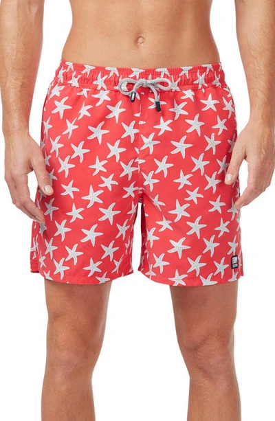 TOM & TEDDY STARFISH PRINT SWIM TRUNKS,STFRB