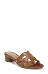Sam Edelman Illie Logo Slide Sandals Women's Shoes In Saddle Leather