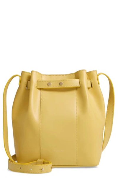 Demellier Naples Leather Shoulder Bag In Lemon