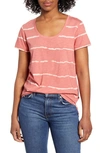 Vince Camuto Linear Whispers Cotton Blend T-shirt In Tuberose