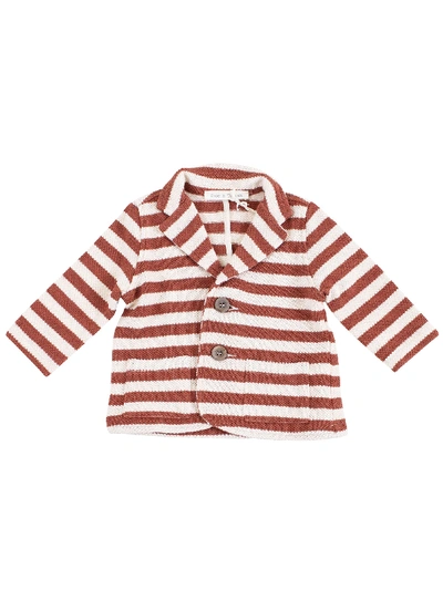 Zhoe & Tobiah Babies' Striped Newborn Jacket In Coccio